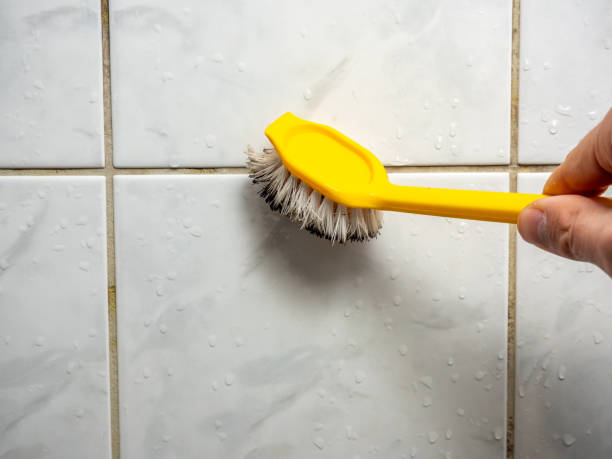 Best Affordable Mold Removal  in Paonia, CO