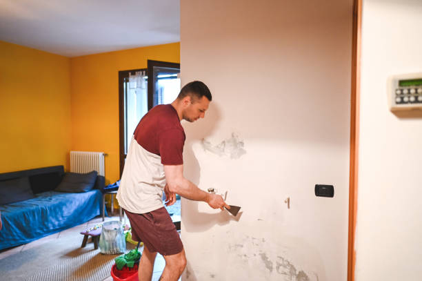 Best Mold Remediation  in Paonia, CO
